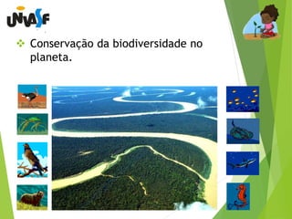  Conservação da biodiversidade no 
planeta. 
 