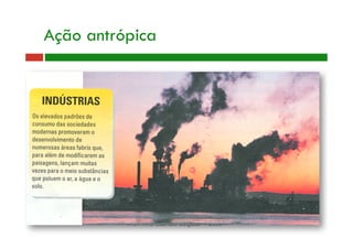 Prof.ª Ana Gabriela Salgado - 2006
Ação antrópica
 