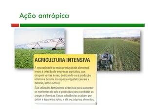Ação antrópica
 