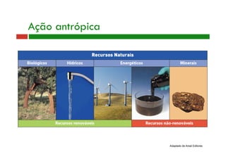Ação antrópica
Adaptado de Areal Editores
 