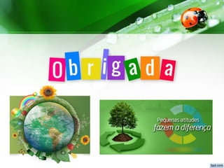 Sustentabilidade