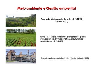 Meio ambiente e Gestão ambientalMeio ambiente e Gestão ambiental
Figura 4 – Meio ambiente natural (BARRA,
Gisele, 2007)
Figura 6 – Meio ambiente fabricado (Carotta, Roberto, 2007)
Figura 5 – Meio ambiente domesticado (Fonte:
www.codem.org.br/investe/fotos/Agricultura1.jpg
acessado em 12.11. 2007)
 