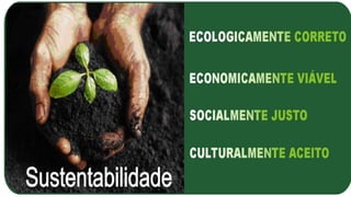 Sustentabilidade