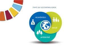 Sustentabilidade. Conceitos básicos para administração.