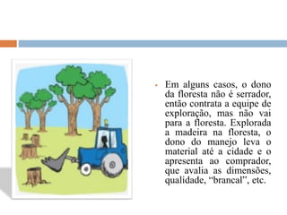  Em alguns casos, o dono
da floresta não é serrador,
então contrata a equipe de
exploração, mas não vai
para a floresta. Explorada
a madeira na floresta, o
dono do manejo leva o
material até a cidade e o
apresenta ao comprador,
que avalia as dimensões,
qualidade, “brancal”, etc.
 