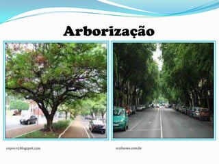 Arborização




cepro-rj.blogspot.com         ecolnews.com.br
 