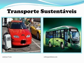 Transporte Sustentáveis




noticias.r7.com    onibusparaibanos.com
 