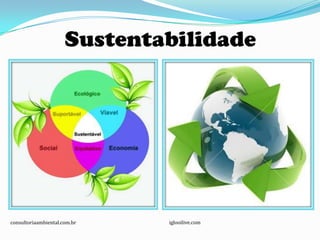Sustentabilidade




consultoriaambiental.com.br   iglooilive.com
 