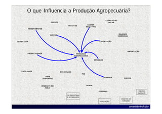 O que Influencia a Produção Agropecuária?
                                                                                             COTAÇÃO DO
                                 LUCROS                                                        DOLAR
                                                                          CUSTOS
                                                      RECEITAS
                                                                         RELATIVOS
         INVESTIMENTOS


                                                                                                           BALANÇA
                                CUSTOS
                                                                                                          COMERCIAL
                                                                     -
TECNOLOGIA                                        -                                  EXPORTAÇÃO
                                                                             +


                                              +                                                                    IMPORTAÇÃO
         PRODUTIVIDADE                                       PRODUÇÃO        -
                                                           AGROPECUÁRIA

                                          +                                      ESTOQUES




                                                                             +
   FERTILIDADE                            ÁREA USADA
                                                                   PIB
                            ÁREA
                                                                                            DEMANDA             PREÇOS
                         DISPONÍVEL



                     DESGASTE DO                                         RENDA
                        SOLO

                                                                                     CONSUMO                                 PREÇOS
                                                                                                                             GLOBAIS
                                                  PIB INDUSTRIAL
                                                  E DE SERVIÇOS
                                                                                                             HÁBITOS DE
                                                                                      POPULAÇÃO               CONSUMO


                                                                                                                      amarildo@ufrj.br
 