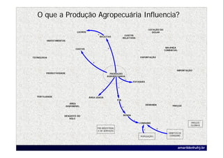 O que a Produção Agropecuária Influencia?
                                                                                               COTAÇÃO DO
                                 LUCROS                                                          DOLAR
                                                    +                       CUSTOS
                                                        RECEITAS
                                                                           RELATIVOS
         INVESTIMENTOS


                                                             +                                               BALANÇA
                                CUSTOS
                                                                                                            COMERCIAL


TECNOLOGIA                                                                             EXPORTAÇÃO

                                            +
                                                +

                                                                                                                     IMPORTAÇÃO
         PRODUTIVIDADE                                         PRODUÇÃO
                                                             AGROPECUÁRIA
                                                                               +
                                                                                   ESTOQUES

                                                                     +
                                                         +

   FERTILIDADE                            ÁREA USADA
                                                                     PIB
                            ÁREA
                                                                                              DEMANDA             PREÇOS
                         DISPONÍVEL                                        +


                     DESGASTE DO                                           RENDA
                        SOLO
                                                                                   +
                                                                                       CONSUMO                                 PREÇOS
                                                                                                                               GLOBAIS
                                                    PIB INDUSTRIAL
                                                    E DE SERVIÇOS                         +         ?
                                                                                                               HÁBITOS DE
                                                                                        POPULAÇÃO               CONSUMO




                                                                                                                        amarildo@ufrj.br
 