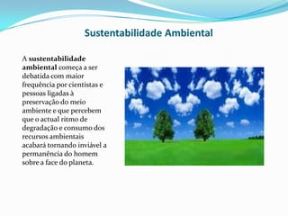 Principais Problemas Ambientais