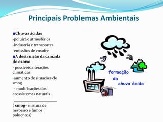 Bibliografia Sustentabilidade  AmbientalConsiste na manutenção das funções e componentes do ecossistema, de modo sustentável podendo igualmente designar-se como a capacidade que o ambiente natural tem de manter  as condições de vida para as pessoas e para as outras espécies e a qualidade de vida para as pessoas, tendo em conta a habitabilidade, a beleza  do ambiente e  a sua função como fonte de energia renováveis.      