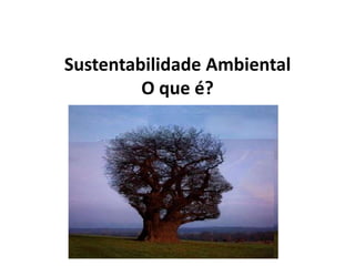 Sustentabilidade AmbientalO que é? 