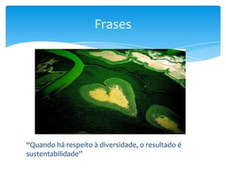 “Quando há respeito à diversidade, o resultado é
sustentabilidade”
Frases
 