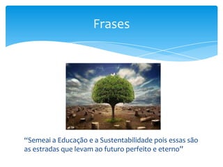 “Semeai a Educação e a Sustentabilidade pois essas são
as estradas que levam ao futuro perfeito e eterno”
Frases
 