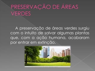 A preservação de áreas verdes surgiu
com o intuito de salvar algumas plantas
que, com a ação humana, acabaram
por entrar em extinção.
 