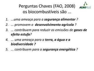 Perguntas Chaves (FAO, 2008)
os biocombustíveis são ...
1. ...uma ameaça para a segurança alimentar ?
2. ... promovem o desenvolvimento agricola ?
3. ... contribuem para reduzir os emissões de gases de
efeito estufa?
4. ... uma ameaça para a terra, a água e a
biodiversidade ?
5. ... contribuem para a segurança energética ?
 