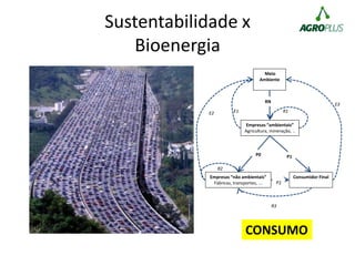 Sustentabilidade x
Bioenergia
Meio
Ambiente
Empresas “ambientais”
Agricultura, mineração, ..
Empresas “não ambientais”
Fábricas, transportes, ...
Consumidor Final
RN
P0 P1
E3
R3
R2
E2 E1
P2
R1
CONSUMO
 
