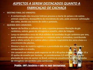 ASPECTOS A SEREM DESTACADOS QUANTO A
FABRICAÇAO DE CACHAÇA
• DESTINO FINAL DO VINHOTO:
– A contaminação dos recursos hídricos provoca a morte de peixes e de outros
animais aquáticos, desequilíbrio da microbiota do solo, pode provocar salinização
dos solos, devido aos teores de sódio e potássio.
• QUEIMA DOS CANAVIAIS:
– Apesar de facilitar a colheita da cana, a queima provoca liberação de gás
carbônico, ozônio, gases de nitrogênio e enxofre, além da fuligem.
– Lança na atmosfera cerca de 64,8 milhões de toneladas de gás carbônico por ano,
parte reabsorvida pelos canaviais e o restante polui a atmosfera, contribuindo
para o efeito estufa, já o ozônio afeta o sistema respiratório dos seres vivos e o
crescimento das plantas,
– Diminui o teor de matéria orgânica e a porosidade dos solos, aumentando a
compactação e a erosão,
– Um canavial em chamas pode exportar de 30 a 60 quilos de nitrogênio e de 15 a
25 quilos de enxofre por hectare, se considerarmos 3,5 milhões de hectares
plantados de cana de açúcar no Brasil, estima-se anualmente 150mil toneladas
de nitrogênio são perdidos pela combustão
 