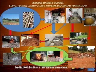 RESIDUOS SOLIDOS E LIQUIDOS
ETAPAS: PLANTIO, COLHEITA, CORTE, MOAGEM, DECANTAÇAO, FERMENTAÇAO
 