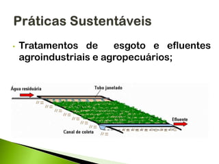 • Tratamentos de esgoto e efluentes
agroindustriais e agropecuários;
 