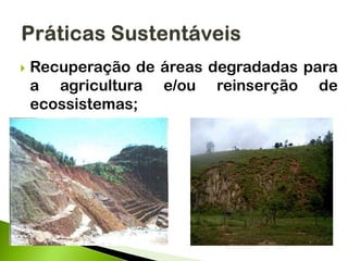  Recuperação de áreas degradadas para
a agricultura e/ou reinserção de
ecossistemas;
 
