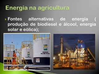  Fontes alternativas de energia (
produção de biodiesel e álcool, energia
solar e eólica);
 