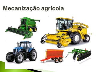 Construções rurais e ambiência
 