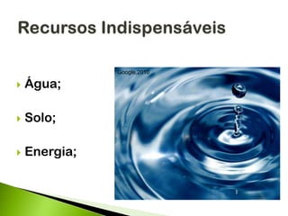  Água;
 Solo;
 Energia;
Google,2010
 