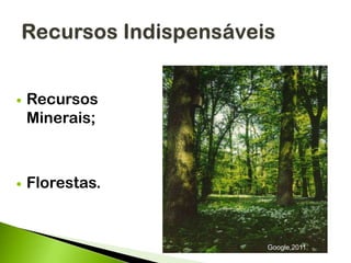  Recursos
Minerais;
 Florestas.
Google,2011.
 