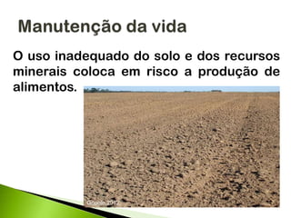 O uso inadequado do solo e dos recursos
minerais coloca em risco a produção de
alimentos.
Google,2012.
 