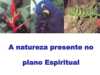 A natureza presente no
plano Espiritual
 