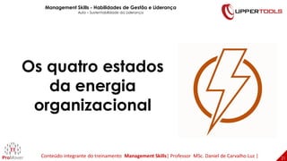 21
21
Os quatro estados
da energia
organizacional
Management Skills - Habilidades de Gestão e Liderança
Aula – Sustentabil...
