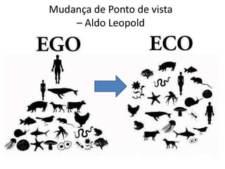 Mudança de Ponto de vista
    – Aldo Leopold
 