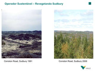 Operador Sustentável – Revegetando Sudbury Coniston Road, Sudbury 1981 Coniston Road, Sudbury 2008 