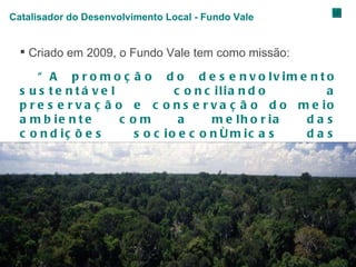 Criado em 2009, o Fundo Vale tem como missão:  “ A promoção do desenvolvimento sustentável conciliando a preservação e conservação do meio ambiente com a melhoria das condições socioeconômicas das regiões onde estiver presente”. Catalisador do Desenvolvimento Local - Fundo Vale  