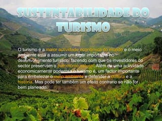 Sustentabilidade do turismo 11 4