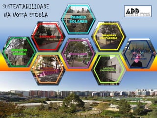SUSTENTABILIDADE
NA NOSSA ESCOLA
ESPAÇOS
VERDES
PAINÉIS
SOLARES
POUPANÇA
TORNEIRAS
POUPADORAS
RECICLAGEM
HORTAS
SUSTENTÁVEIS
LÂMPADAS
FLUORESCENTES
INCLUSÃO
SOCIAL
VOLUNTARIADO