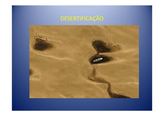 DESERTIFICAÇÃO
 