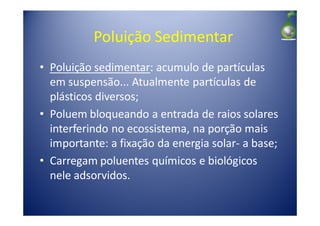 Poluição Sedimentar
• Poluição sedimentar: acumulo de partículas
  em suspensão... Atualmente partículas de
  plásticos diversos;
• Poluem bloqueando a entrada de raios solares
  interferindo no ecossistema, na porção mais
  importante: a fixação da energia solar- a base;
• Carregam poluentes químicos e biológicos
  nele adsorvidos.
 
