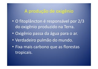 A produção de oxigênio
• O fitoplâncton é responsável por 2/3
  do oxigênio produzido na Terra.
• Oxigênio passa da água para o ar.
• Verdadeiro pulmão do mundo.
• Fixa mais carbono que as florestas
  tropicais.
 