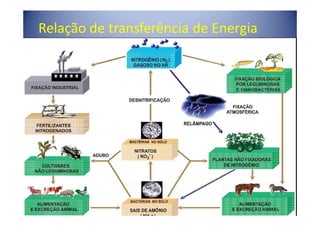 Relação de transferência de Energia
 