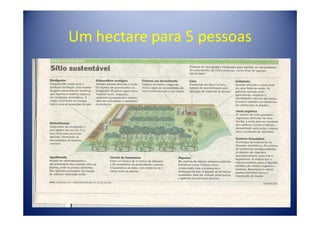 Um hectare para 5 pessoas
 