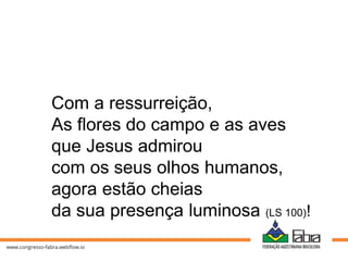 Com a ressurreição,
As flores do campo e as aves
que Jesus admirou
com os seus olhos humanos,
agora estão cheias
da sua presença luminosa (LS 100)!
 