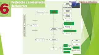 Áreas
protegidas
Destruição de
habitats
Espécies exóticas
Redu
-zir
Reutilizar
Reciclar
Energia
 