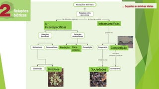 A -
Interespecíficas
Intraespecíficas
Predação Para-
sitismo
Competição
Simbiose Sociedades
 