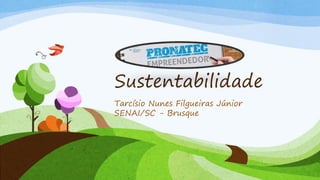 Sustentabilidade
Tarcísio Nunes Filgueiras Júnior
SENAI/SC - Brusque
 