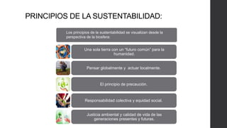 PRINCIPIOS DE LA SUSTENTABILIDAD:
Una sola tierra con un “futuro común” para la
humanidad.
Pensar globalmente y actuar localmente.
El principio de precaución.
Responsabilidad colectiva y equidad social.
Justicia ambiental y calidad de vida de las
generaciones presentes y futuras.
Los principios de la sustentabilidad se visualizan desde la
perspectiva de la biosfera:
 