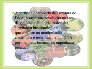 A partir da descoberta da estrutura do
DNA, houve uma revolução na área
da genética e biologia molecular,
surgindo a biotecnologia moderna,
que consiste na manipulação
controlada e internacional do DNA
por meio das técnicas de engenharia
genética.
 