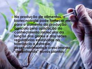 Na produção de alimentos, a
biotecnologia pode fornecer meios
para o aumento da produção
agrícola pela aplicação do
conhecimento molecular da
função dos genes e das redes
regulatórias envolvidas na
tolerância a estresse,
desenvolvimento e crescimento,
"desenhando" novas plantas .
 